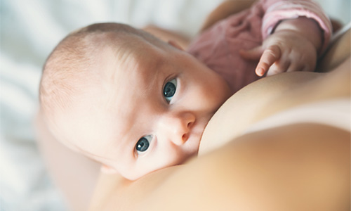 Allaitement maternel - Dois-je faire prendre particulièrement soin de mes seins ?
