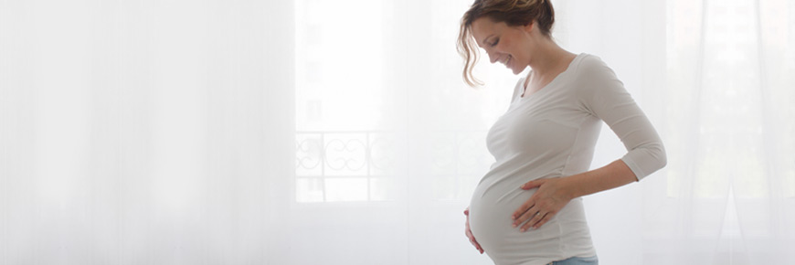 Unité de conseils pré-grossesse - Demandez un devis